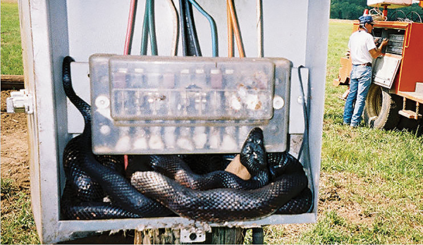 Photo 1. Inspecting PV systems can result in unpleasant surprises.