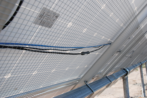 Photo 5. Exposed, readily-accessible module wiring “guarded” by grounded, galvanized hardware cloth attached to back of module racks.